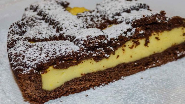 Gâteau au chocolat fourrée de crème pâtissière