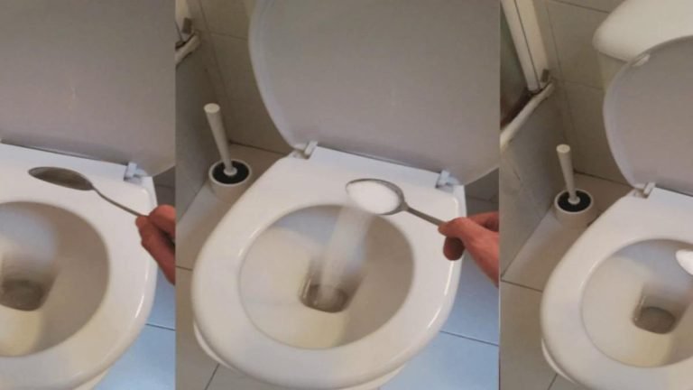 100 grammes de sel pour une toilette plus propre! Testez!