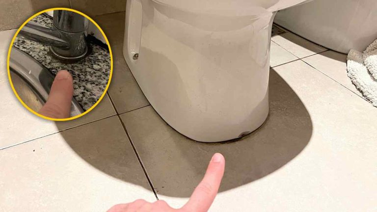 Astuces miracles pour vos robinets et toilettes