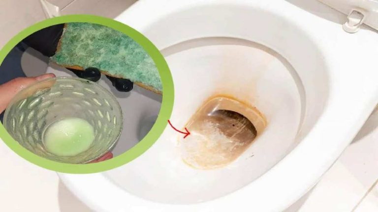 Quelle est cette fameuse astuce infaillible pour enlever les rayures jaunes sur vos toilettes