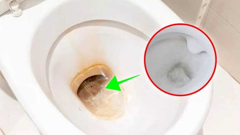 SOS rouille le plus puissant mélange naturel à appliquer sur les toilettes