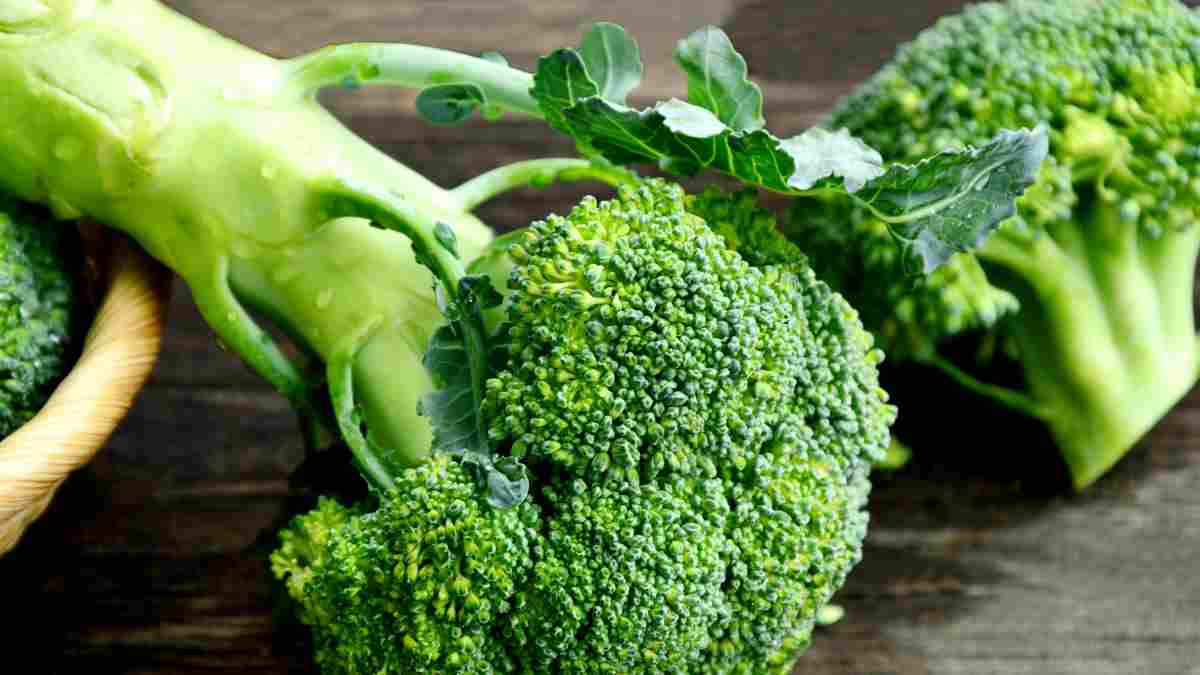 Découvrez les bienfaits du brocoli