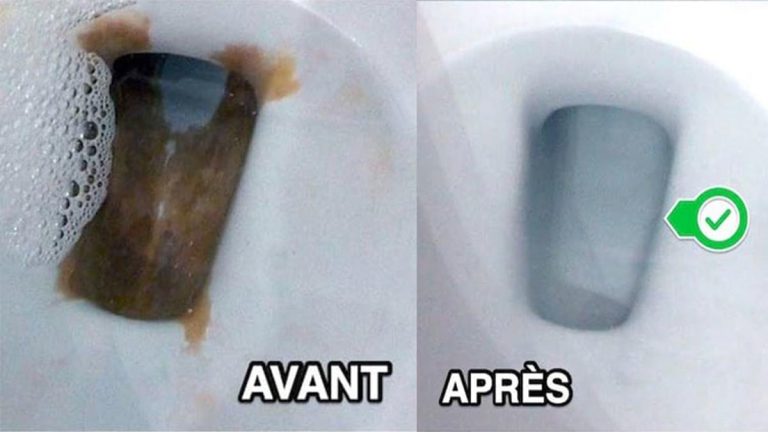 Détartrer facilement les rebords et les parois des toilettes