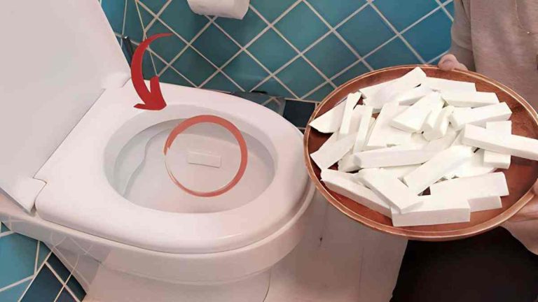 Des toilettes toujours parfumées et désinfectées sans javel