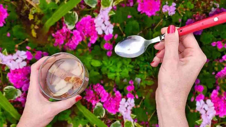 Si vous voulez un jardin rempli de fleurs qui ferait des envieux