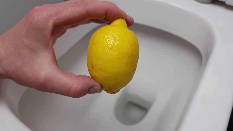 citron dans les toilettes