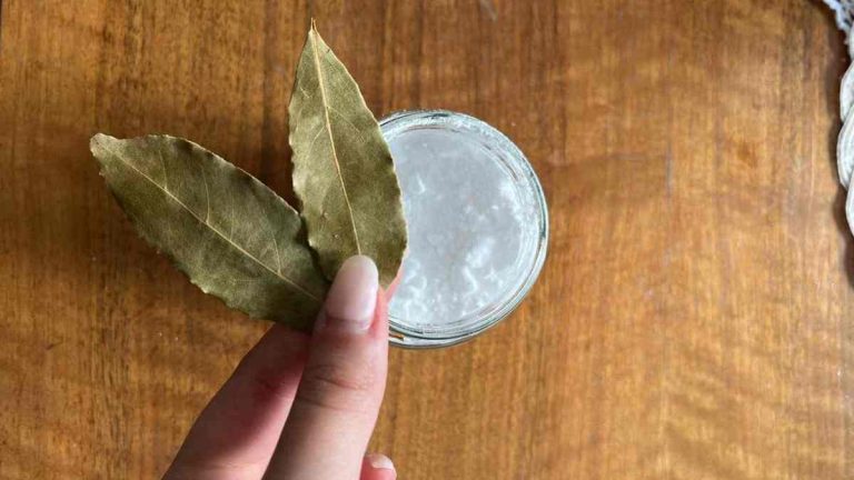 feuilles de laurier avec du bicarbonate de soude