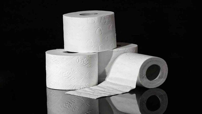 Mettez des rouleaux de papier hygiénique dans votre potager