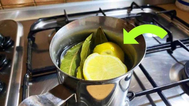 Le Remède Naturel Anti-Âge : Feuilles de Laurier et Citron !