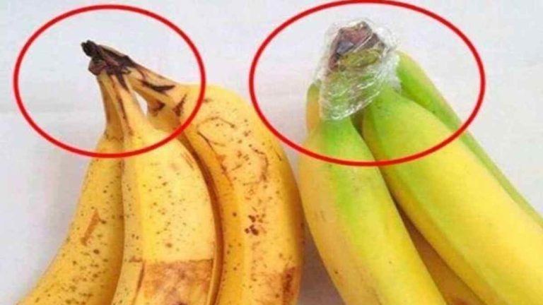 Comment Conserver les Bananes Plus Longtemps