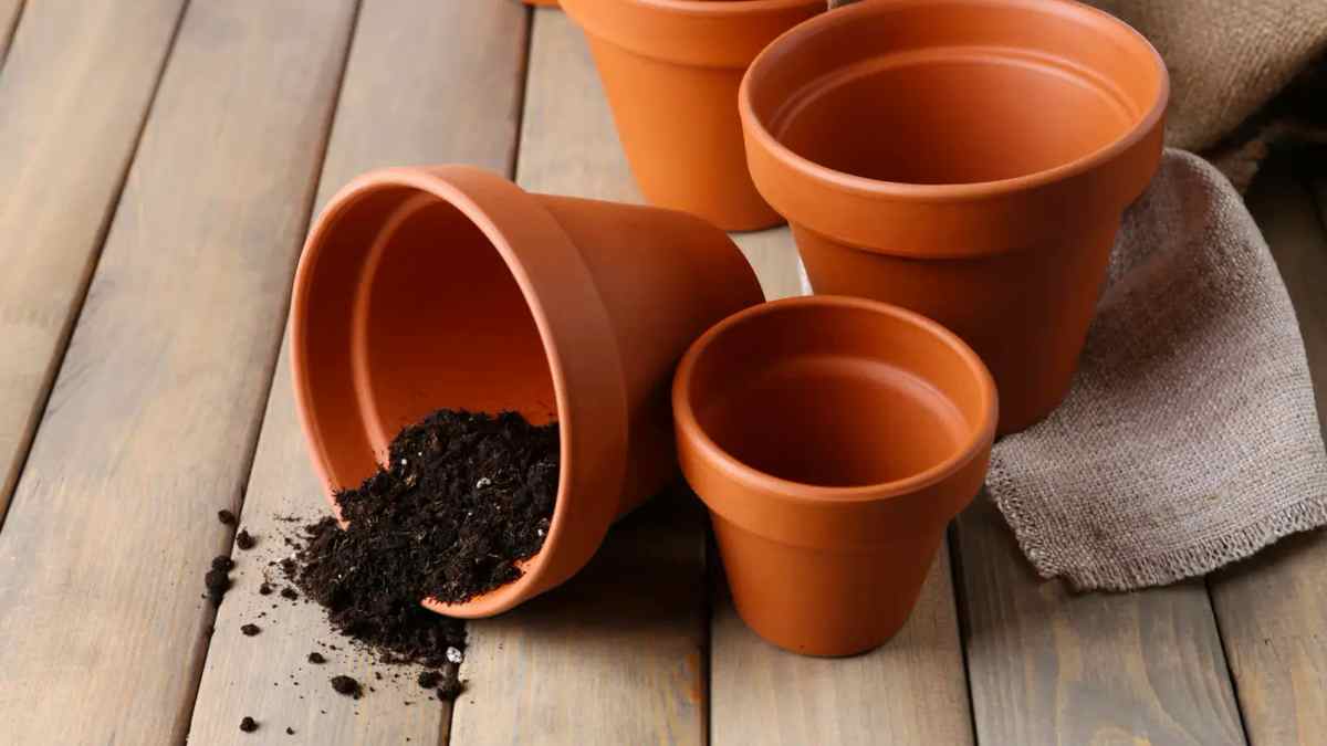 Comment protéger les racines de la chaleur