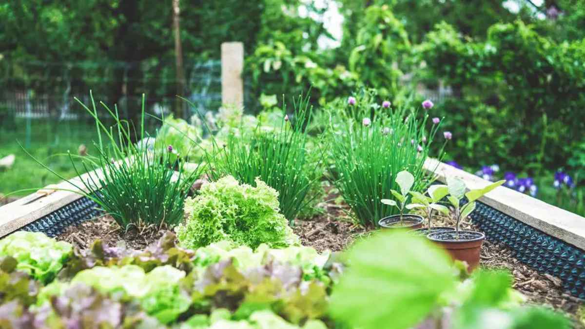 Jardin écologique
