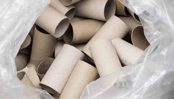 Ne jetez plus vos rouleaux de papier toilette