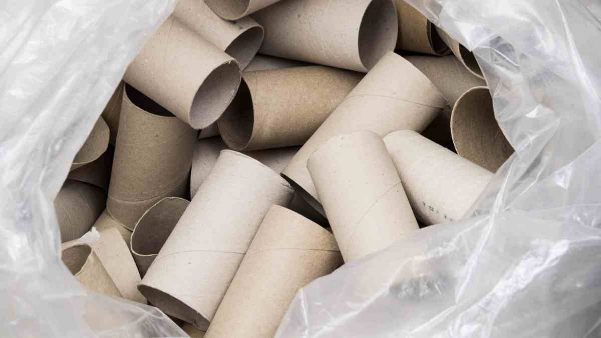 Ne jetez plus vos rouleaux de papier toilette